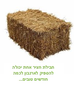 hay8
